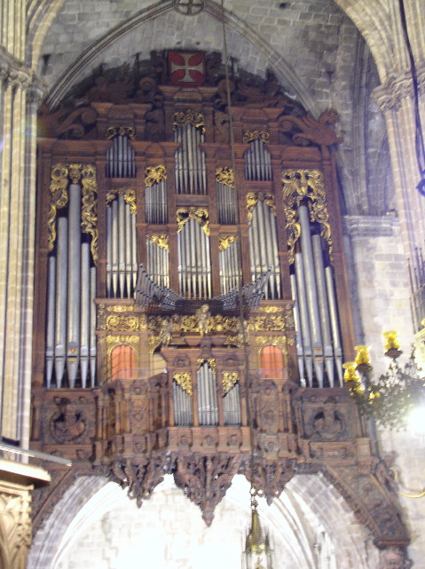 Organ