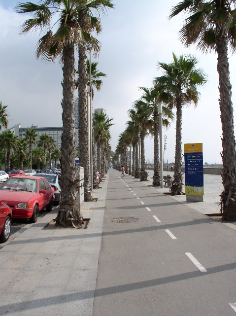 Bike path above the beach