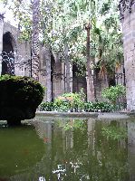 In the cloister